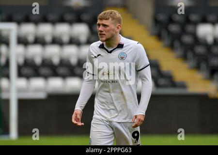 Swansea, Wales. 24 April 2023. Josh Thomas of Swansea City during the Professional Development League game between Swansea City Under 21 and Sheffield United Under 21 at the Swansea.com Stadium in Swansea, Wales, UK on 24 April 2023. Credit: Duncan Thomas/Majestic Media/Alamy Live News. Stock Photo