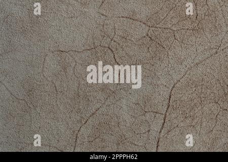 Beige fur wool abstract pattern nature skin soft warm fluffy for background and texture, close up, top view Stock Photo