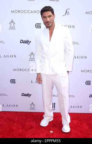 Beverly Hills, USA. 23rd Apr, 2023. Chris Appleton attends Daily Front Row's 7th annual Fashion Los Angeles Awards on April 23, 2023 in Beverly Hills, California. Photo: CraSH/imageSPACE/Sipa USA Credit: Sipa USA/Alamy Live News Stock Photo