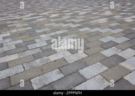 Sidewalk gray rectangular concrete tiles as a background. Stock Photo