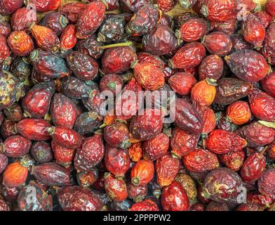 Background made of Dry rose hips. Fharmaceutical raw materials. Healing herbs Rosae fructus. Rosae pseudo-fructus. Dried medicinal herbs raw materials Stock Photo