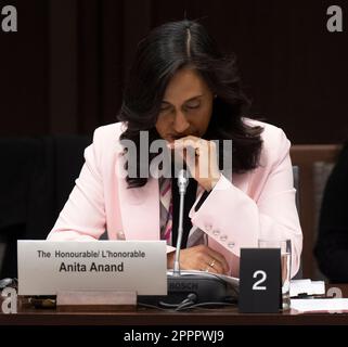The Honourable Anita Anand, MP 