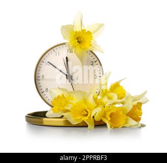 Yellow daffodils and clock on white background Stock Photo