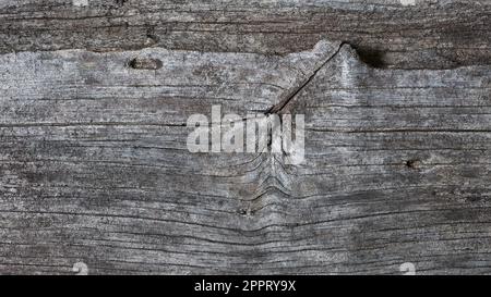 old wood background texture, naturally weathered and eroded by time wooden surface for photography rustic backdrop with cracks, neutral tone wallpaper Stock Photo