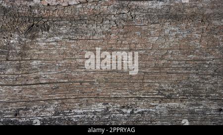 old wood background texture, naturally weathered and eroded by time wooden surface for photography rustic backdrop with cracks, brownish tone Stock Photo