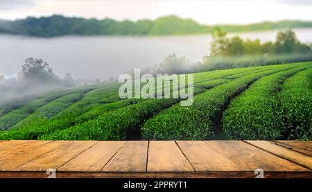Empty wood table top and Tea farm background. Mock up for display of product. Stock Photo