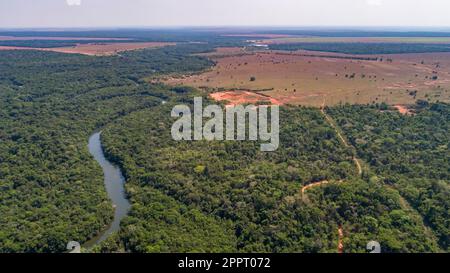 Aerial view of a meandering Amazon tributary river, Amazonian ...