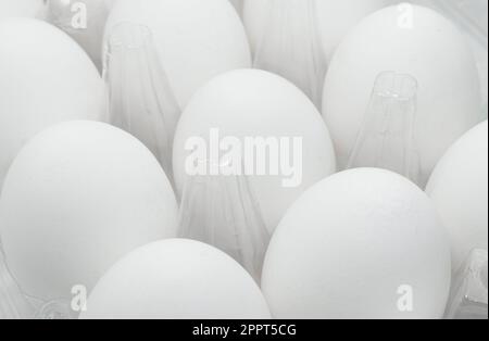 Egg tray with fresh white eggs isolated on white background.  Fresh organic chicken eggs in plastic box. Stock Photo