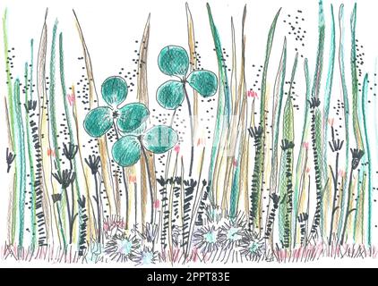 wallpaper hand drawn on watercolor paper with colored pencils, blades of grass and clover Stock Photo