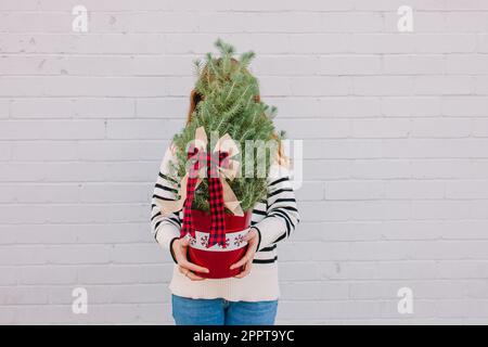 Unrecognizable woman holding small decorative Christmas tree in a red pot in front of her Stock Photo