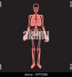 Neon human skeleton red color vector illustration image flat style Stock Vector