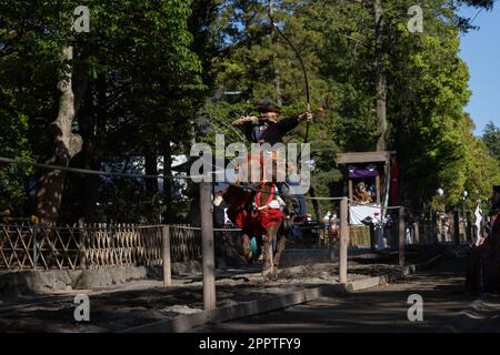 Yabusame (Japanese horseback archery) archer aims on target. 65th Kamakura Festival on April 16, 2023 in Tsurugaoka Hachimangu Shrine in Kamakura, Japan. Credit: Stanislav Kogiku/AFLO/Alamy Live News Stock Photo