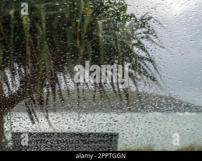 Looking through raindrops on the car windscreen to the harbour and a Pandanus Palm on a rainy day Stock Photo
