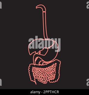 Neon digestive system red color vector illustration image flat style Stock Vector