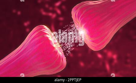 Neurobal Neuronal and Synapse Activity animation showing chemical messengers or ...