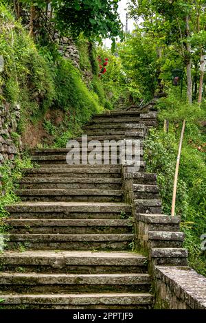 Terrace Paddy Fields, Khonoma Village, Nagaland, India. Khonoma, Asia’s ...