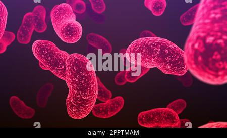 Salmonella bacteria. S. typhi, S. typhimurium and other Salmonella, rod-shaped bacteria, the causative agents of enteric typhus and food toxic infecti Stock Photo