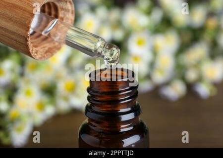 Dripping chamomile essential oil from pipette into bottle on blurred background, closeup Stock Photo