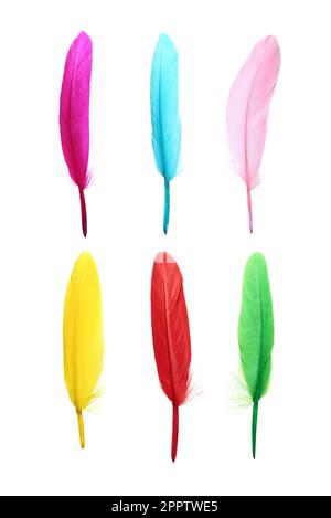 Set with different beautiful color feathers on white background Stock Photo