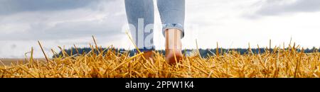 barefoot girl with sneakers and cardboard cup with coffee in hand standing in the agricultural field with haystack and bales after harvesting. Stock Photo