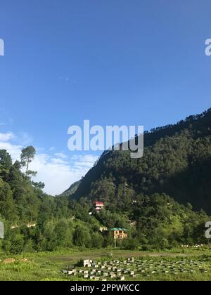 Bee hives in a field, Tirthan Valley, Himachal Pradesh, Indian Himalayas, India Stock Photo