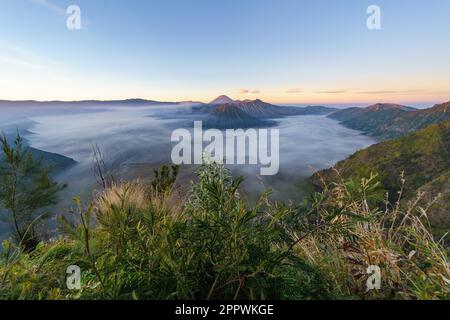 Aerial view of Mt Bromo and rural landscape at sunrise, Indonesia Stock Photo