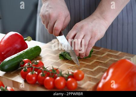 Male hands cut green fragrant leaf of sorrel or lettuce Stock Photo