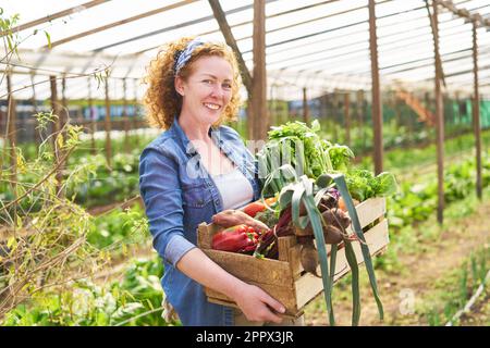 Portrait of blond smiling farmer standing with crate of fresh vegetables at farm Stock Photo