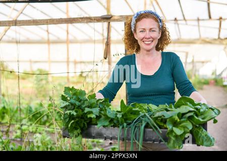 Portrait of smiling mature female farmer holding fresh vegetables in crate at farm Stock Photo