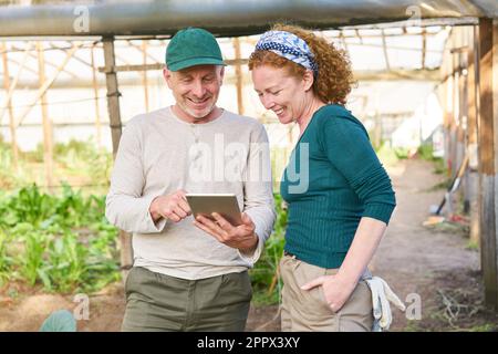 Female farmer with hand in pocket discussing with male colleague using tablet computer at farm Stock Photo
