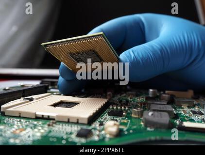 Technician replacing the computer processor. Installation CPU on socket of mainboard.  Maintenance or upgrating the hardware of the motherboard. Stock Photo