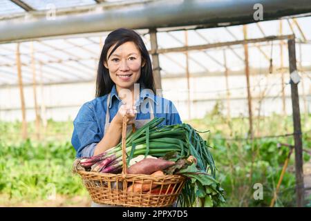 Portrait of happy female farmer holding different vegetables in basket at farm Stock Photo