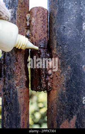 old gate hinge is lubricating with oil from plastic oiler closeup outdoors Stock Photo