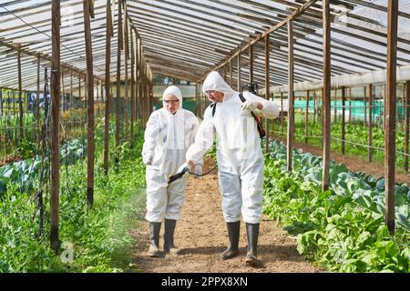 Male farmer assisting coworker spraying pesticide through sprayer while standing in greenhouse Stock Photo