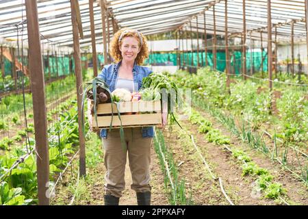 Portrait of smiling farmer with vegetables crate standing in greenhouse at farm Stock Photo