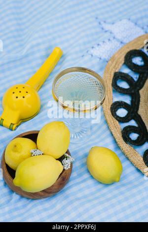 Composition of transparent wineglass placed on blue checkered fabric near ripe yellow lemons and citrus press during picnic Stock Photo