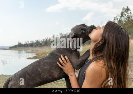 Side view of young female owner caressing and kissing purebred Italian Mastiff dog while resting together near pond in park Stock Photo