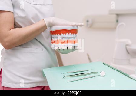 Faceless female dentist in white uniform and gloves keeping dental jaw model in hands while standing near table with tools Stock Photo