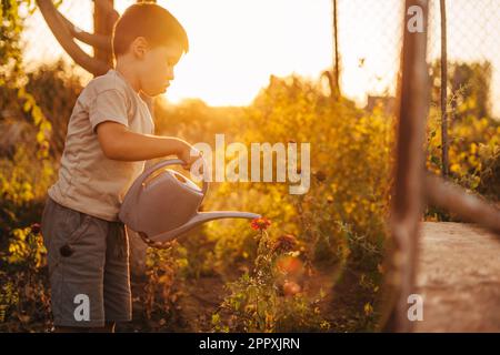 Cute little child, toddler boy, giving water to beautiful flowers standing in the garden on a spring sunset. Nature beauty. Natural beauty. Stock Photo