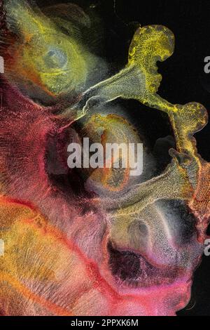 Spills of multicolored metallic dye mixing and spreading on black background Stock Photo