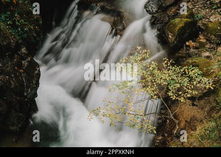 Long exposure shot of fresh water falling from rocky cliff in amazing nature Stock Photo