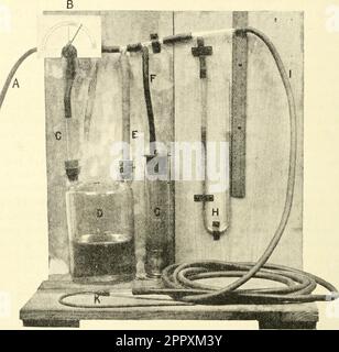 'Quarterly journal of experimental physiology and cognate medical sciences' (1908) Stock Photo
