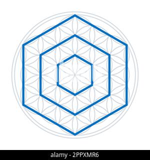 Three hexagons in a Flower of Life, Sacred Geometry Stock Vector