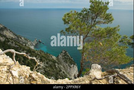 Amazing view of the famous beach of two sisters spiaggia delle due sorelle seen from the wolfs step in the park of Mount Conero, Marche region, Italy Stock Photo