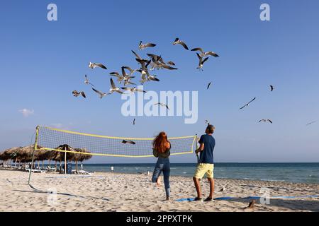 Tourists feed the seagulls on sea beach. Couple having fun on tourist resort Stock Photo