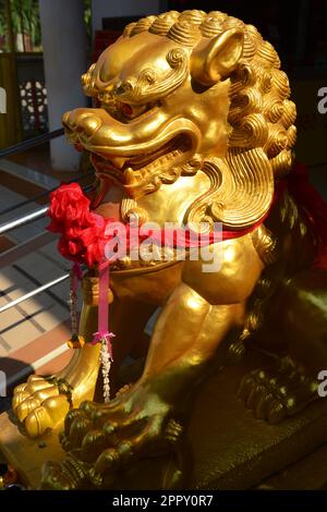 Chinese gold lion, selective focus on the head of a lion. Stock Photo