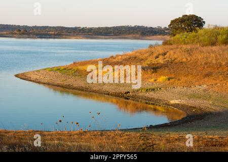 beautiful and peaceful river shore in s-curve with morning reflections Stock Photo