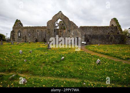 priory church of saint peter and saint paul or athenry priory athenry abbey athenry county galway republic of ireland Stock Photo