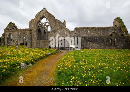 priory church of saint peter and saint paul or athenry priory athenry abbey athenry county galway republic of ireland Stock Photo