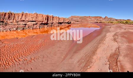 The red water of Lithodendron Wash in Petrified Forest National Park Arizona. The red color is from the bentonite clay in the surrounding hills. Stock Photo